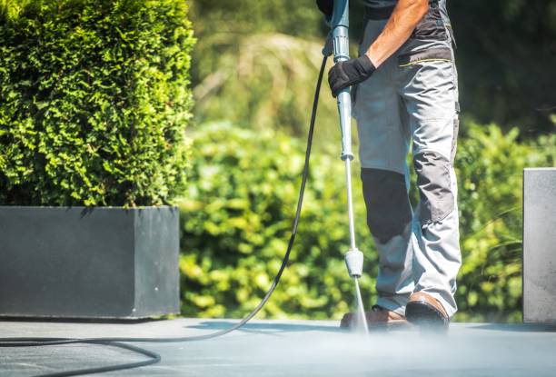 Best Pre-Holiday Cleaning  in Heflin, AL